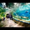 [ID: JTM8fevRL8Q] Youtube Automatic