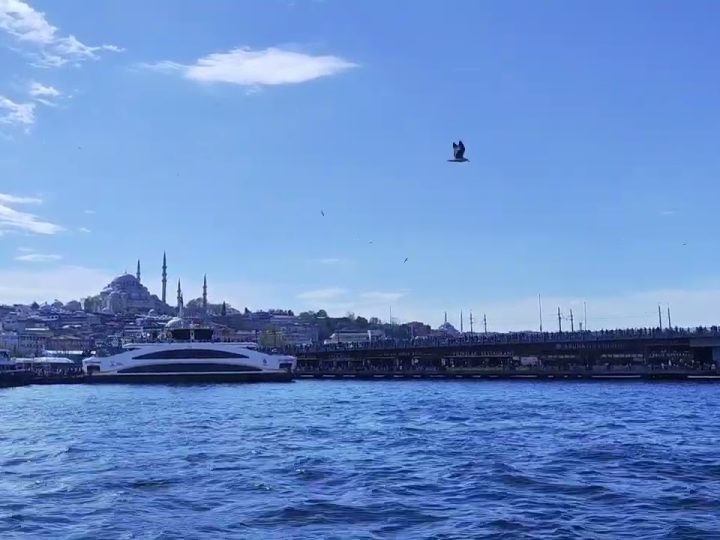 [ID: SwzApqhzKTQ] Youtube Automatic
