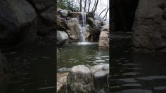 Özel: [ID: 9AklUuLTgEg] Youtube Automatic