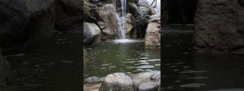 Özel: [ID: 9AklUuLTgEg] Youtube Automatic