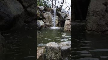 Özel: [ID: 9AklUuLTgEg] Youtube Automatic