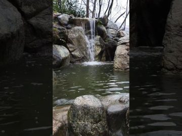 Özel: [ID: 9AklUuLTgEg] Youtube Automatic