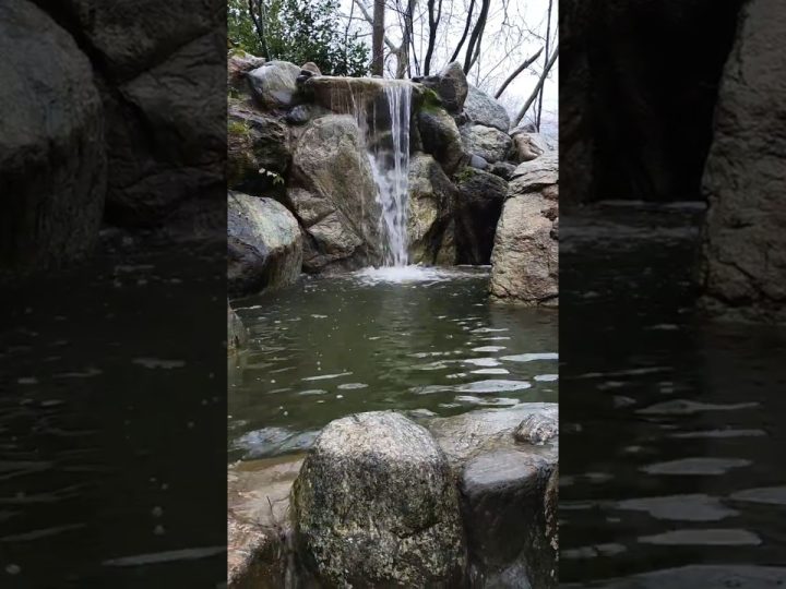 Özel: [ID: 9AklUuLTgEg] Youtube Automatic